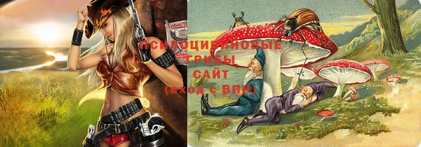 стаф Шарыпово