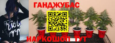 шишки Среднеуральск