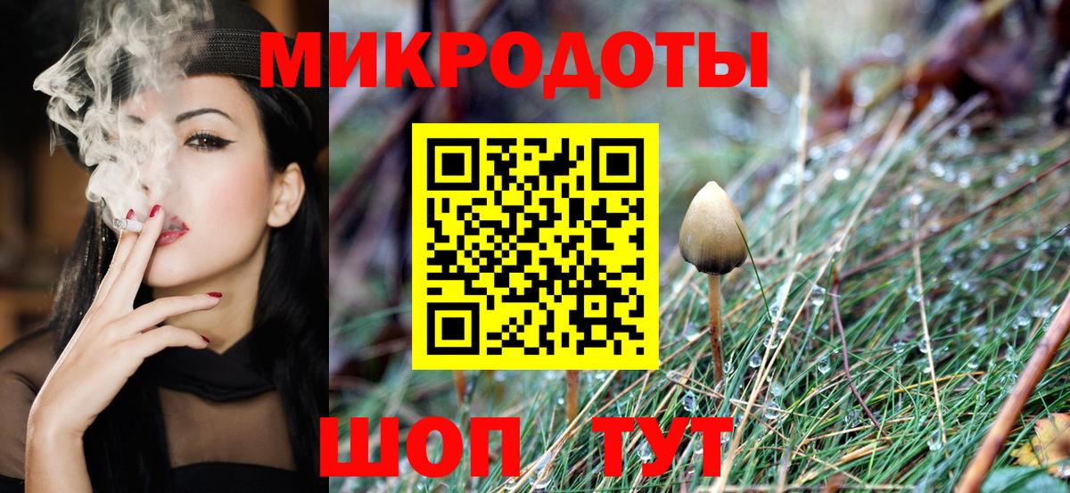 Галлюциногенные грибы MAGIC MUSHROOMS  Псилоцибиновые грибы мухоморы  Обь  Вход с VPN 